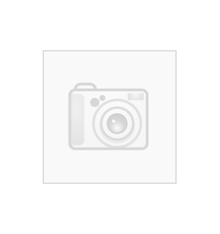 Abilica BumperPlate 10 kg 50 mm (2024)