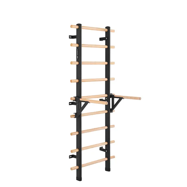 Abilica Premium WallBar Dips Handle 