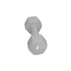 Abilica DumbBell 4 kg