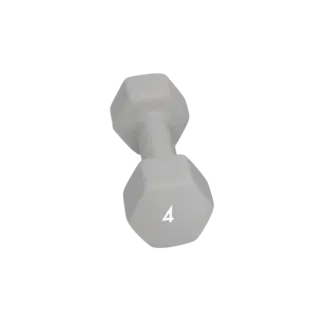 Abilica DumbBell 4 kg