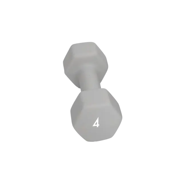 Abilica DumbBell 4 kg 