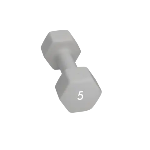 Abilica DumbBell 5 kg