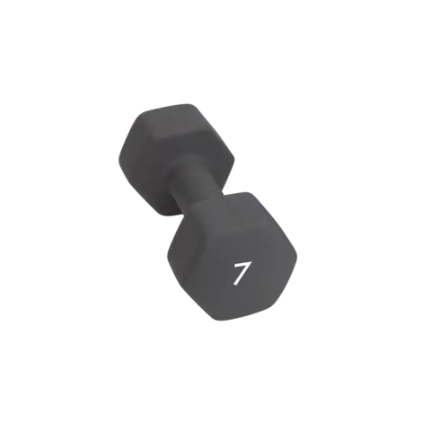 Abilica DumbBell 7 kg