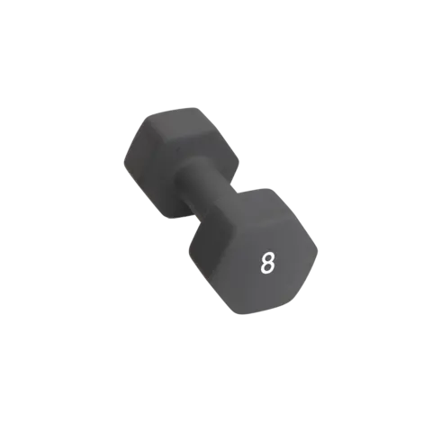 Abilica DumbBell 8 kg