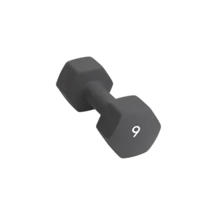 Abilica DumbBell 9 kg
